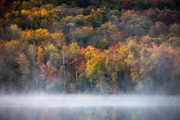  Foggy sunrise at scenic forest late at fall