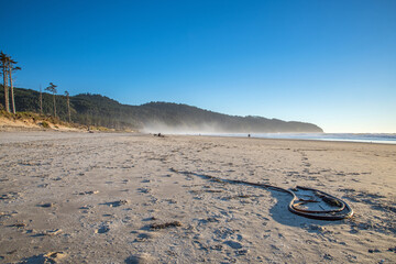 Wall Mural - a vast sandy beach with footprints but few people stretches to a distant headland. kelp washed in by