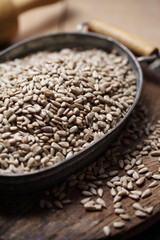 sunflower seeds in iron tray on rustic background