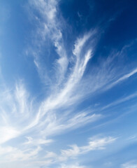 Wall Mural - blue sky and clouds