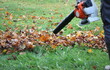 © vaivirga - Worker cleaning falling leaves in autumn park. Man using leaf blower for cleaning autumn leaves. Autumn season. Park cleaning service.