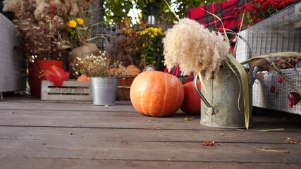 Poster - Autumn decoration with pumpkins for Thanksgiving Day