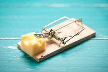 Mouse Trap And Cheese On Turquoise Table