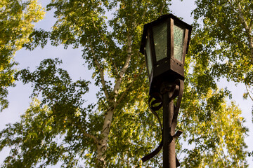 Wall Mural - metal lantern with a lamp in the park among the trees