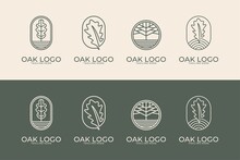 Oak With Line Art Style Logo Design Collection