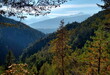 Landschaftpanorama mit Blick über herbstlichen Wald und Berge in Tirol, Österreich