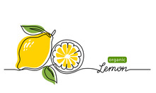Lemon Vector Illustration. One Continuous Line Drawing Art Illustration With Lettering Organic Lemon.