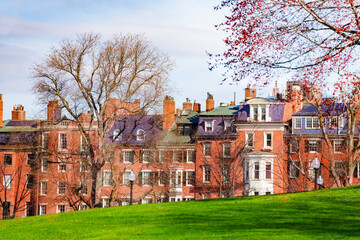 Wall Mural - Beacon street view from Boston Common park in downtown, Massachusetts, USA