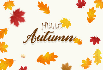 Wall Mural - autumn season background