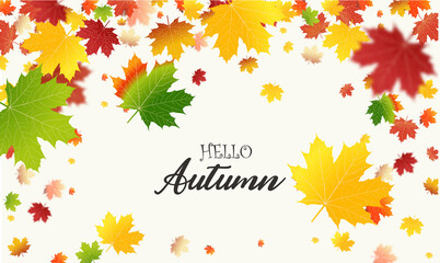 Wall Mural - autumn falling leaves background vector template. leaf vector