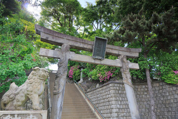 Wall Mural - 品川神社　双龍鳥居　狛犬