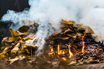 Burning. Autumn bonfire with smoke. Yellow leaves in the smoke.