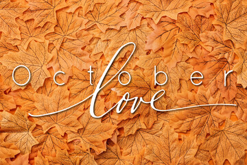 Wall Mural - Top view of golden autumnal leaves near October love lettering