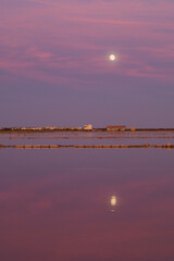 Wall Mural - Salins de Gruissan 