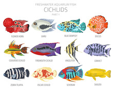 Cichlids Fish. Freshwater Aquarium Fish Icon Set Flat Style Isolated On White