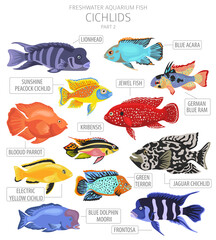 Wall Mural - Cichlids fish. Freshwater aquarium fish icon set flat style isolated on white