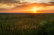 © Tetra Images/Tetra Images - USA, South Dakota, Prairie grass field at sunset