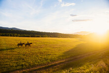 USA, Utah, Salem, Sisters (14-15) Riding Horses At Sunset