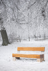 Wall Mural - Bench in winter in the forest