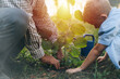 © cherryandbees - grandfather with his grandson in public park planting a tree