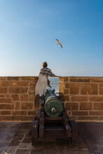 Young Woman Observing Seagull While Standing At Fortification Wall
