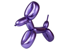 Violet Bright Balloon Dog Isolated On The White