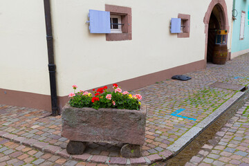 Wall Mural - Street of medieval wine town of Kientzheim. Alsace Wine Route. France.