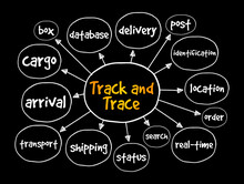 Track And Trace Mind Map, Business Concept For Presentations And Reports