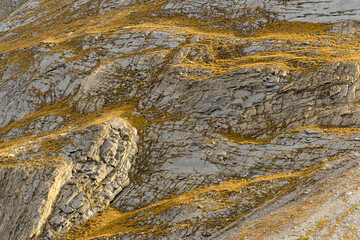Texture of stone in the mountain, Alps Vanoise National Park