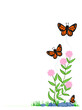 Monarch Butterflies and Milkweed corner border