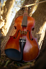 violin and bow sitting in the large branches of a tree