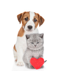 Fototapete - Jack russell terrier puppy and gray tabby kitten sit with read heart. Valentines day concept. Isolated on white background
