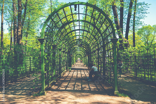 Dekoracja na wymiar  zywo-zielony-tunel-w-letnim-ogrodzie