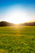 © HNFOTO - Schöne Landschaft mit grüner Wiese und Wald während des Sonnenuntergangs
