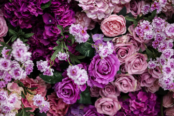 Wall Mural - Closeup image of beautiful flowers wall background with amazing colorful roses. Top view