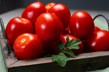 Wall Mural - New harvest of fresh ripe red tomatoes