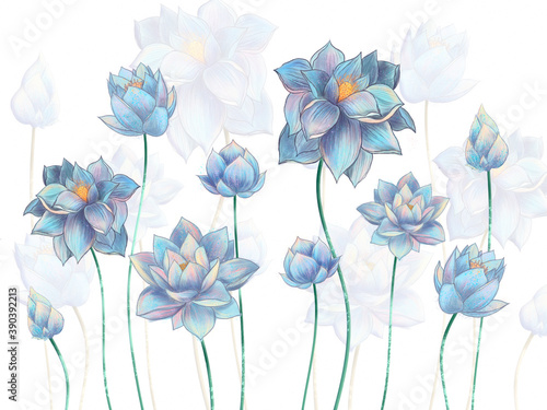 Dekoracja na wymiar  cyfrowe-ilustracja-bladoniebieskie-kwiaty-lotosu-na-bialym-tle-fototapeta-fototapeta-do-druku-wnetrz
