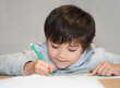 © Anchalee - Candid shot  happy kid sitting alone doing homework, Child boy with smiking face holding green pen drawing and colouring on white paper , Elementary school and homeschooling concept