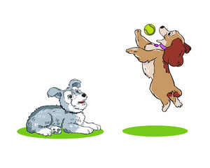 two dogs play ball lazy and active vector