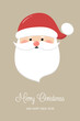 © Karolina Madej - Santa Claus. Christmas decoration. Vector