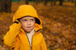 © Наталья Михалкина - boy with frencles in orange jacket is playing in autumn park
