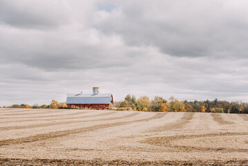 Wall Mural - landscape with a barn