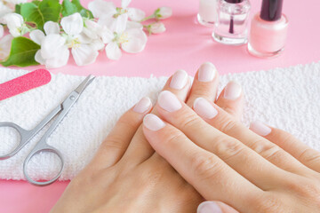 Wall Mural - Young, perfect, groomed woman hands on white towel. Nails care. Manicure, pedicure beauty salon concept. Beautiful branches of apple blossoms on pastel pink table. Fresh flowers.