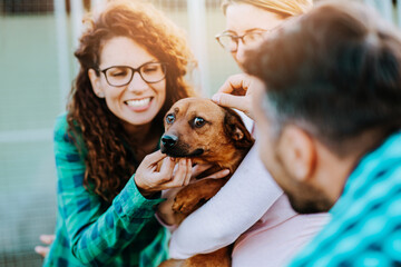 Wall Mural - Young nice looking couple wants to adopt beautiful dog at animal shelter.