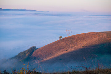 Wall Mural - Morning fog landscape