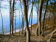 Baltic Sea, forest path, Poland