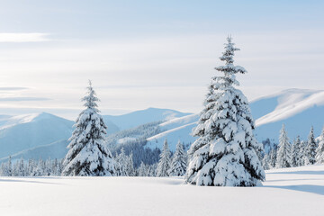 Fantastic winter landscape with snowy trees. Carpathian mountains, Ukraine, Europe. Christmas holiday background. Landscape photography