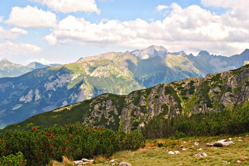 Wall Mural - Tatry