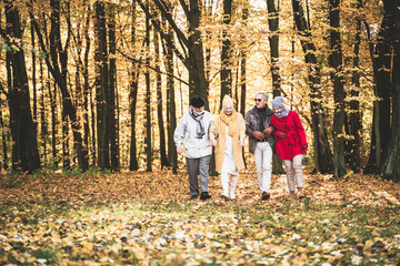 Wall Mural - Group of happy senior friends walking in autumn park.