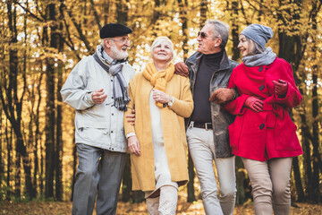 Wall Mural - Group of happy senior friends walking in autumn park.